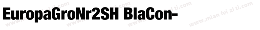 EuropaGroNr2SH BlaCon字体转换